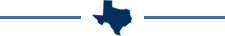 Texas map icon